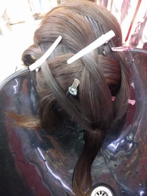 Hollywood Hair Dresser