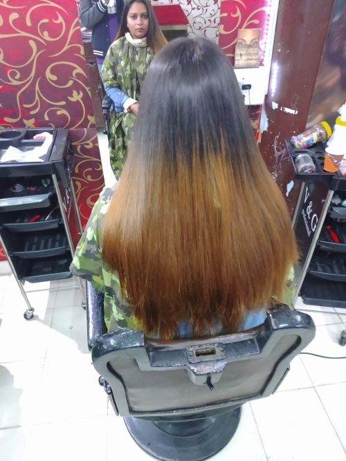 Hollywood Hair Dresser