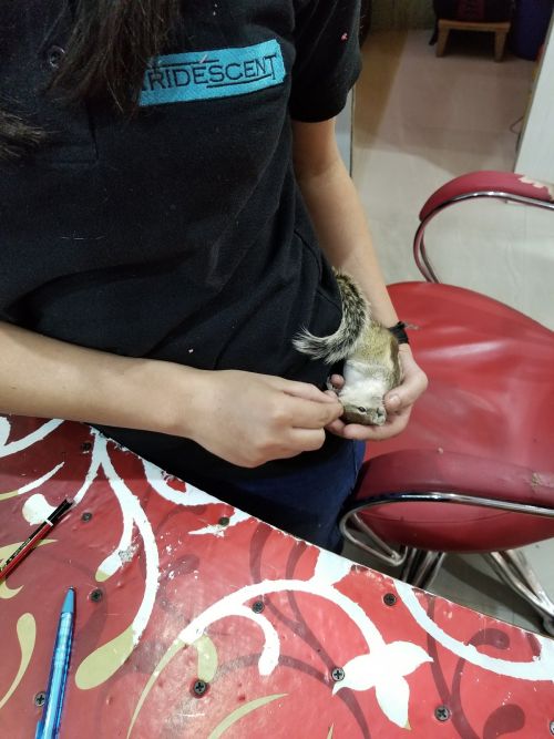 HABIBS Hair and Beauty Academy