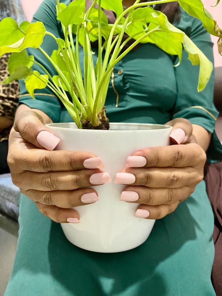 Virtue Salon Anna Nagar