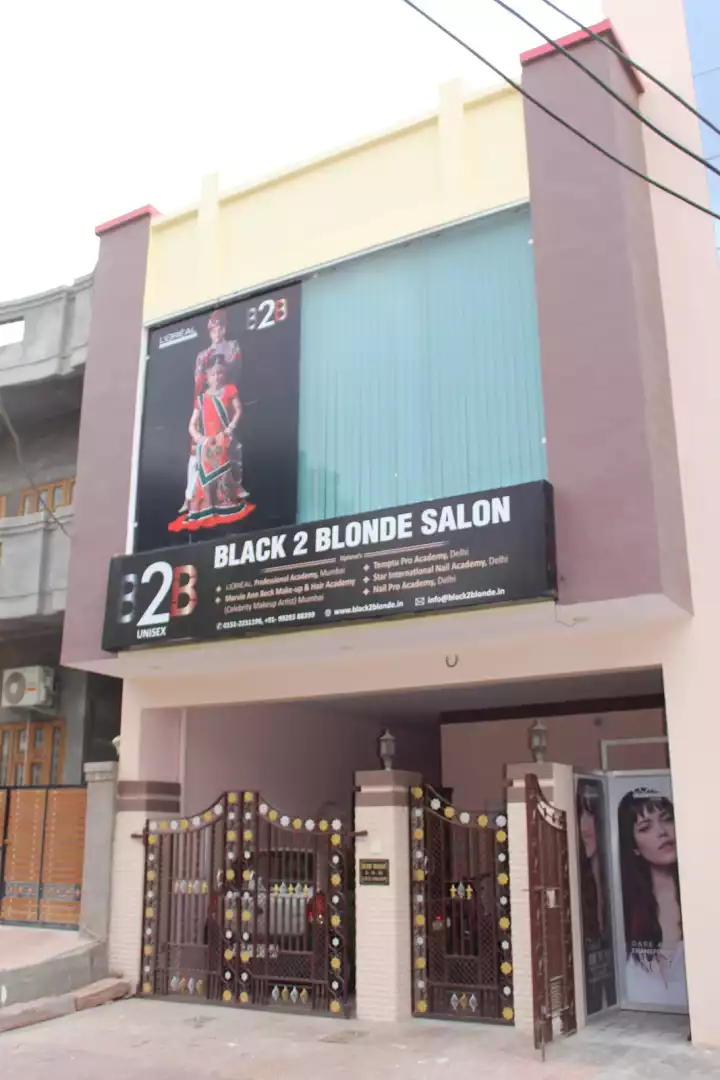 Black 2 Blonde Salon