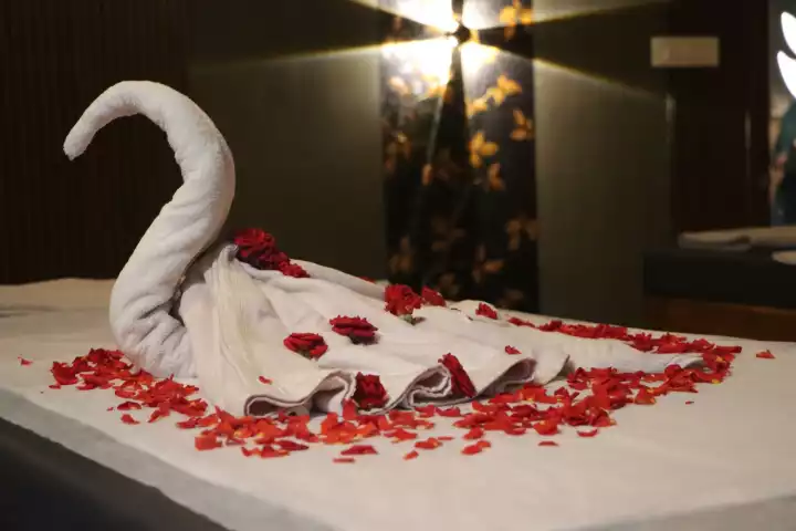 Felna Bali Spa in Mysore