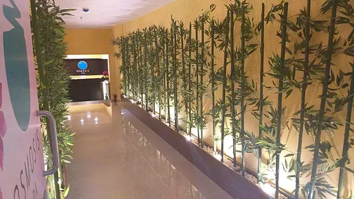 Osmosis Spa