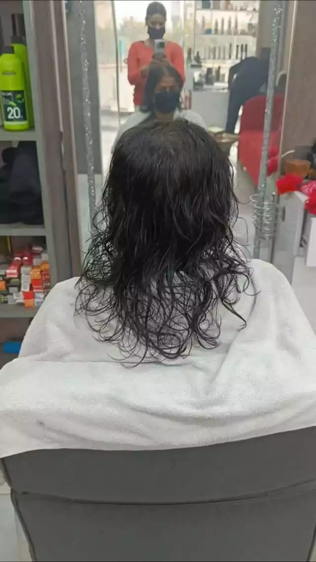 Adleys De Salon