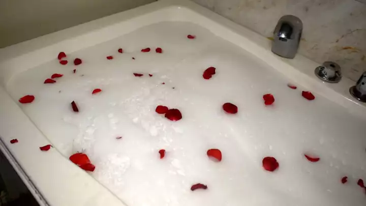 Zaara Spa