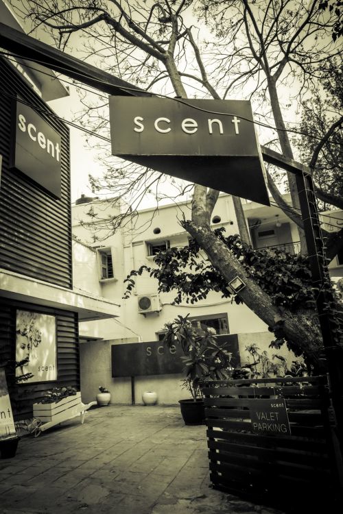 Scent Salon and Spa