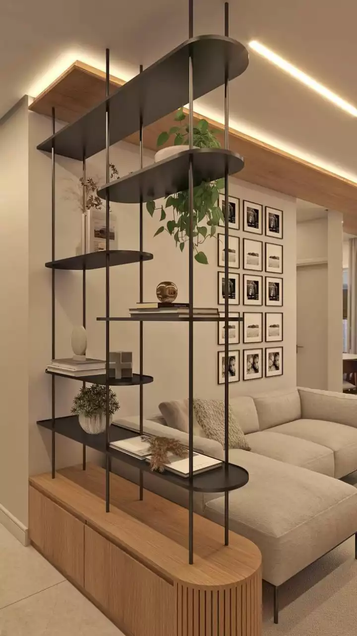 Room Divider Shelf