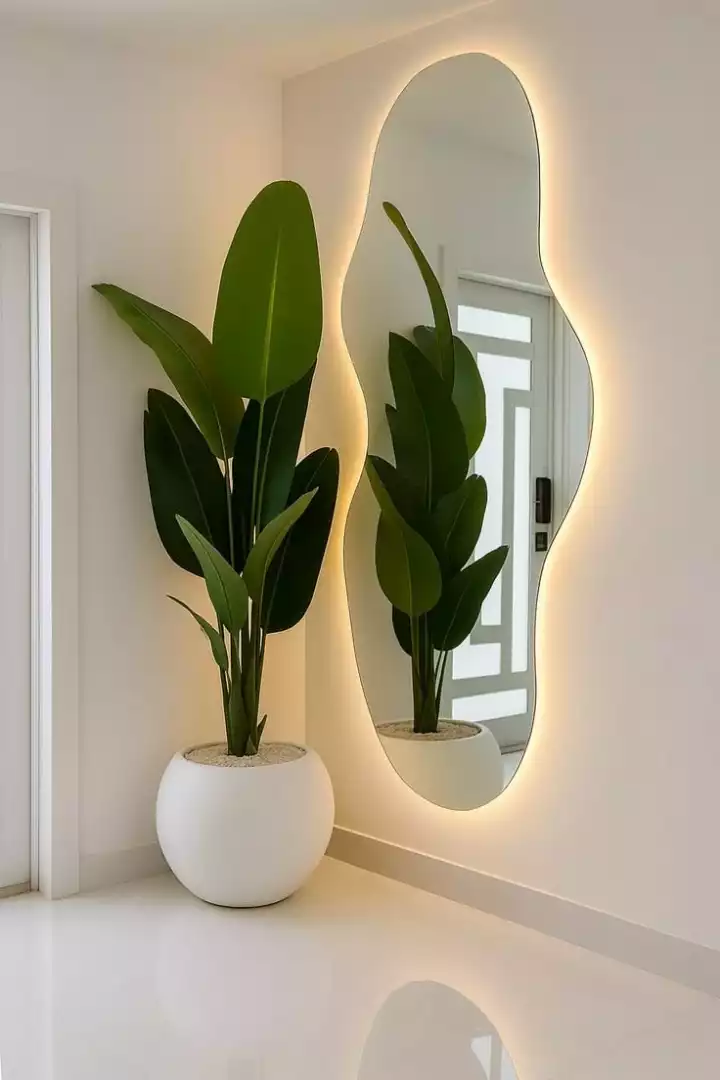 Single mirror setup with big plant